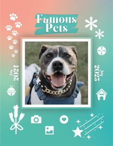 Famous Pets: July 2024-July 2025 Wall Calendar (Pre-Order)
