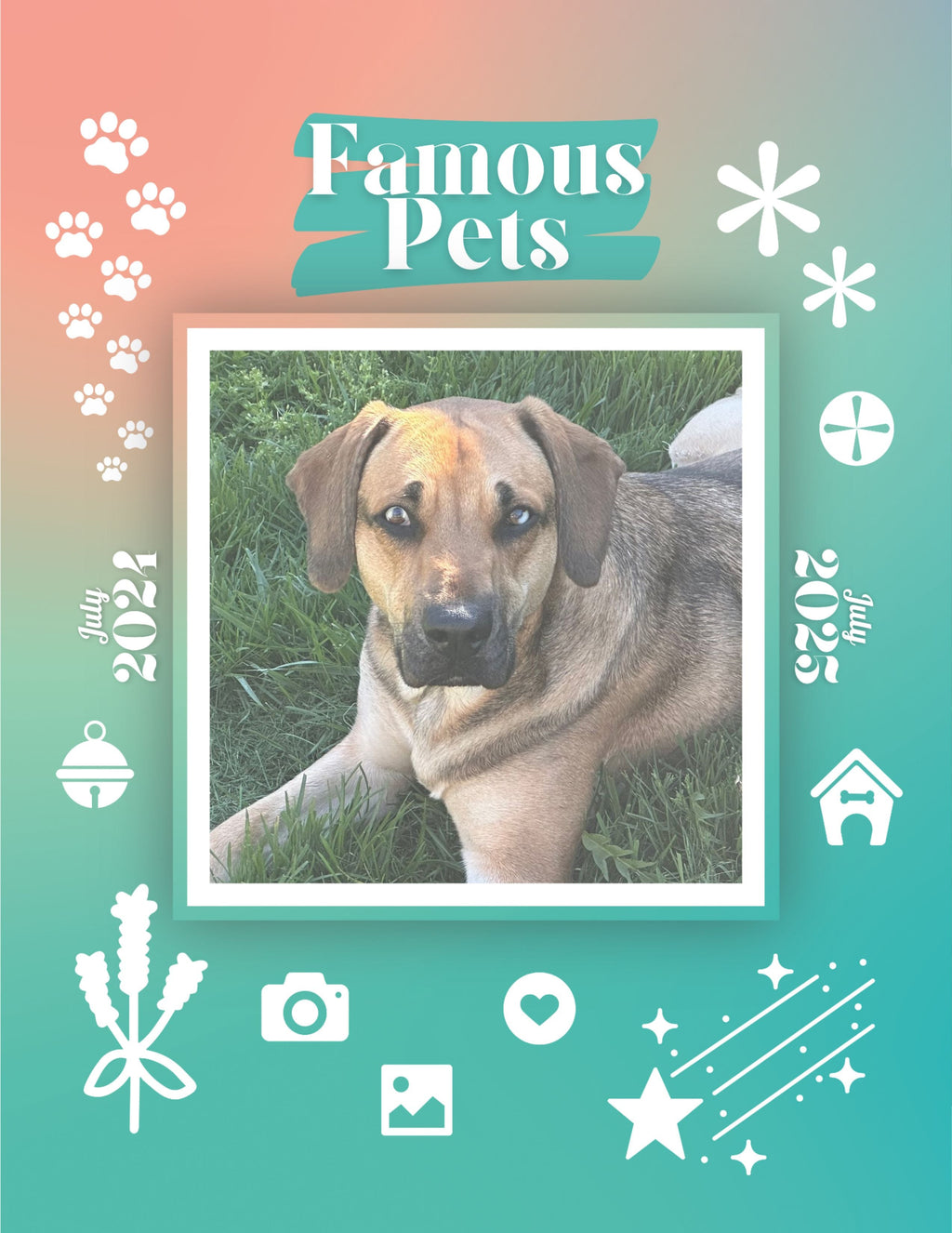 Famous Pets: July 2024-July 2025 Wall Calendar (Pre-Order)