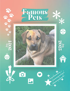 Famous Pets: July 2024-July 2025 Wall Calendar (Pre-Order)