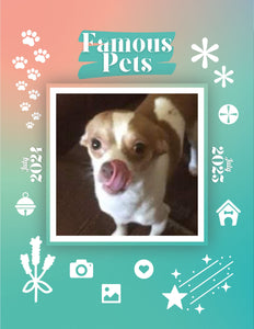 Famous Pets: July 2024-July 2025 Wall Calendar (Pre-Order)