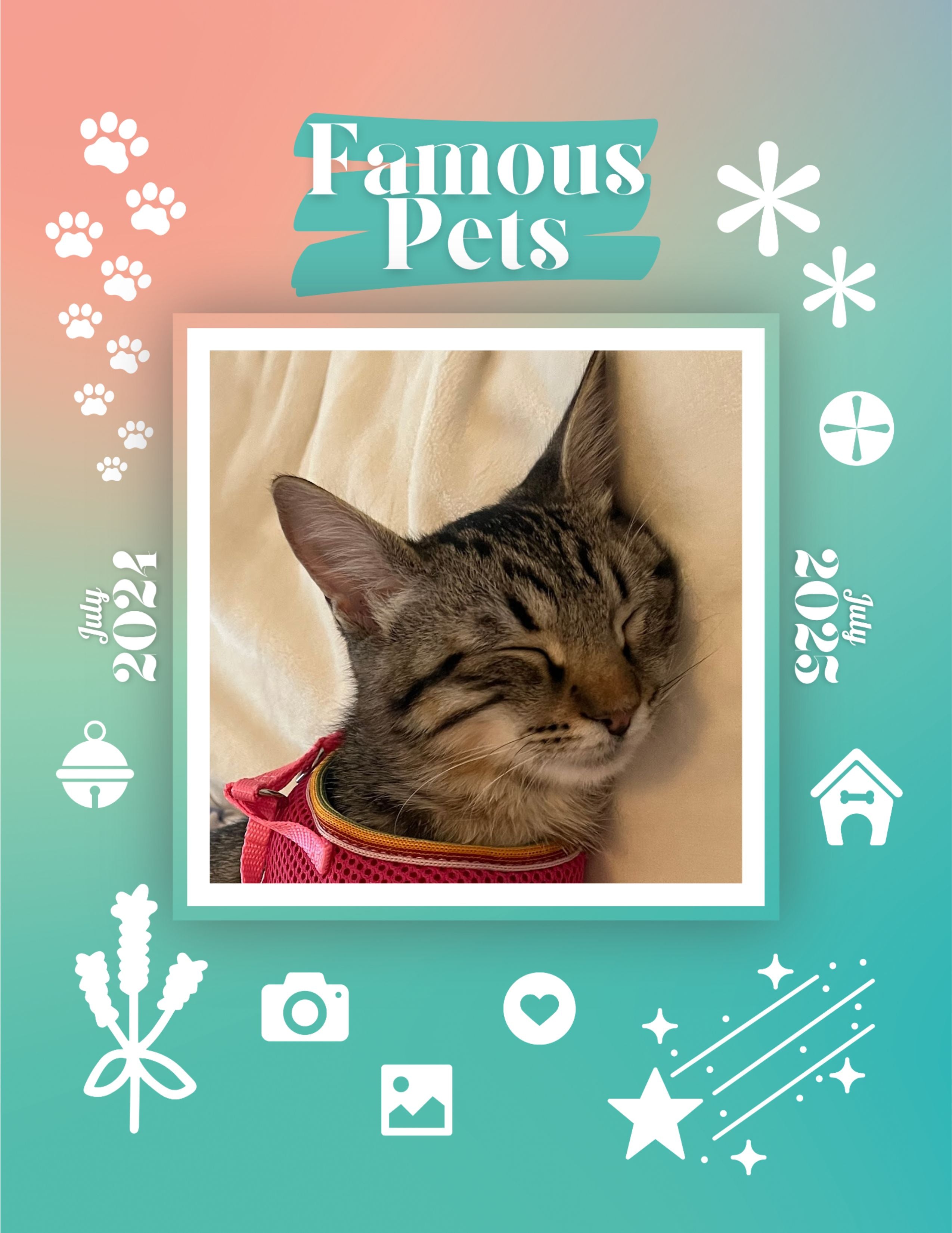 Famous Pets: July 2024-July 2025 Wall Calendar (Pre-Order)