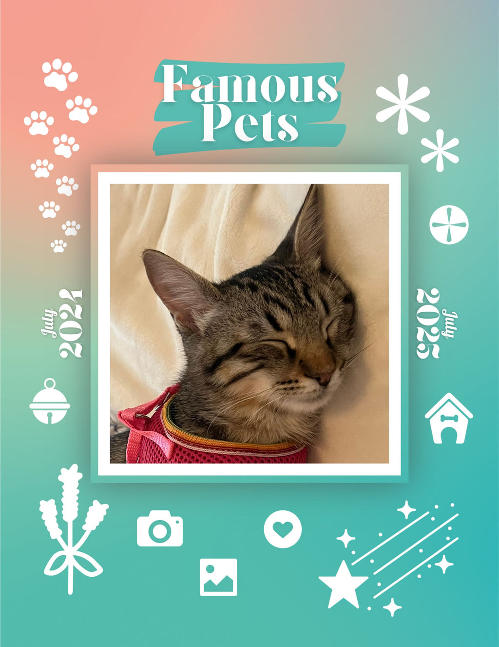 Famous Pets: July 2024-July 2025 Wall Calendar (Pre-Order)
