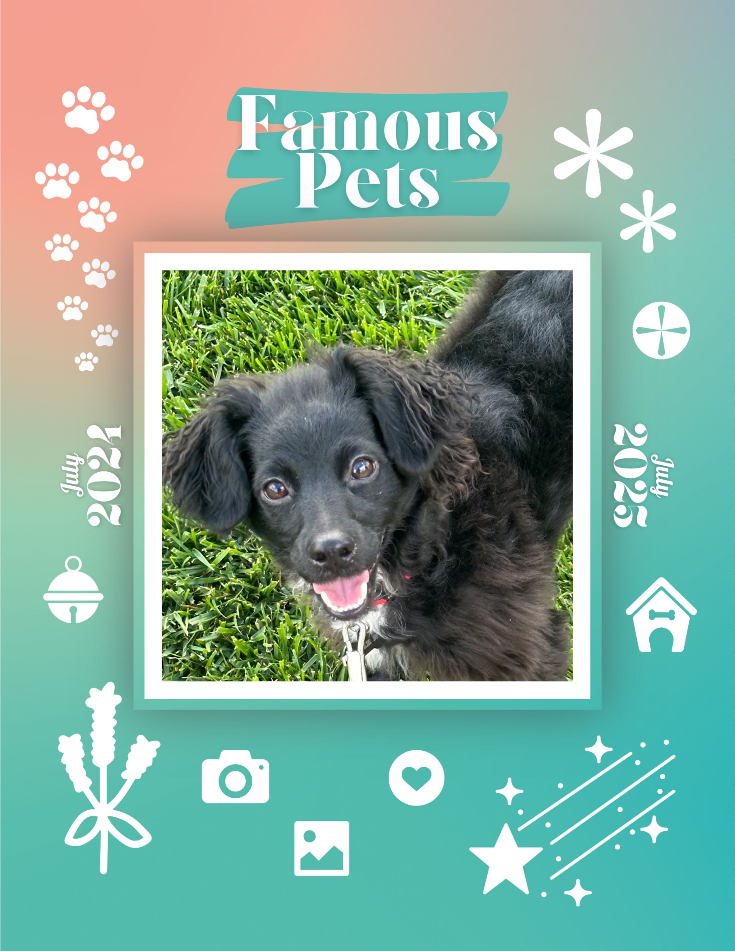 Famous Pets: July 2024-July 2025 Wall Calendar (Pre-Order)