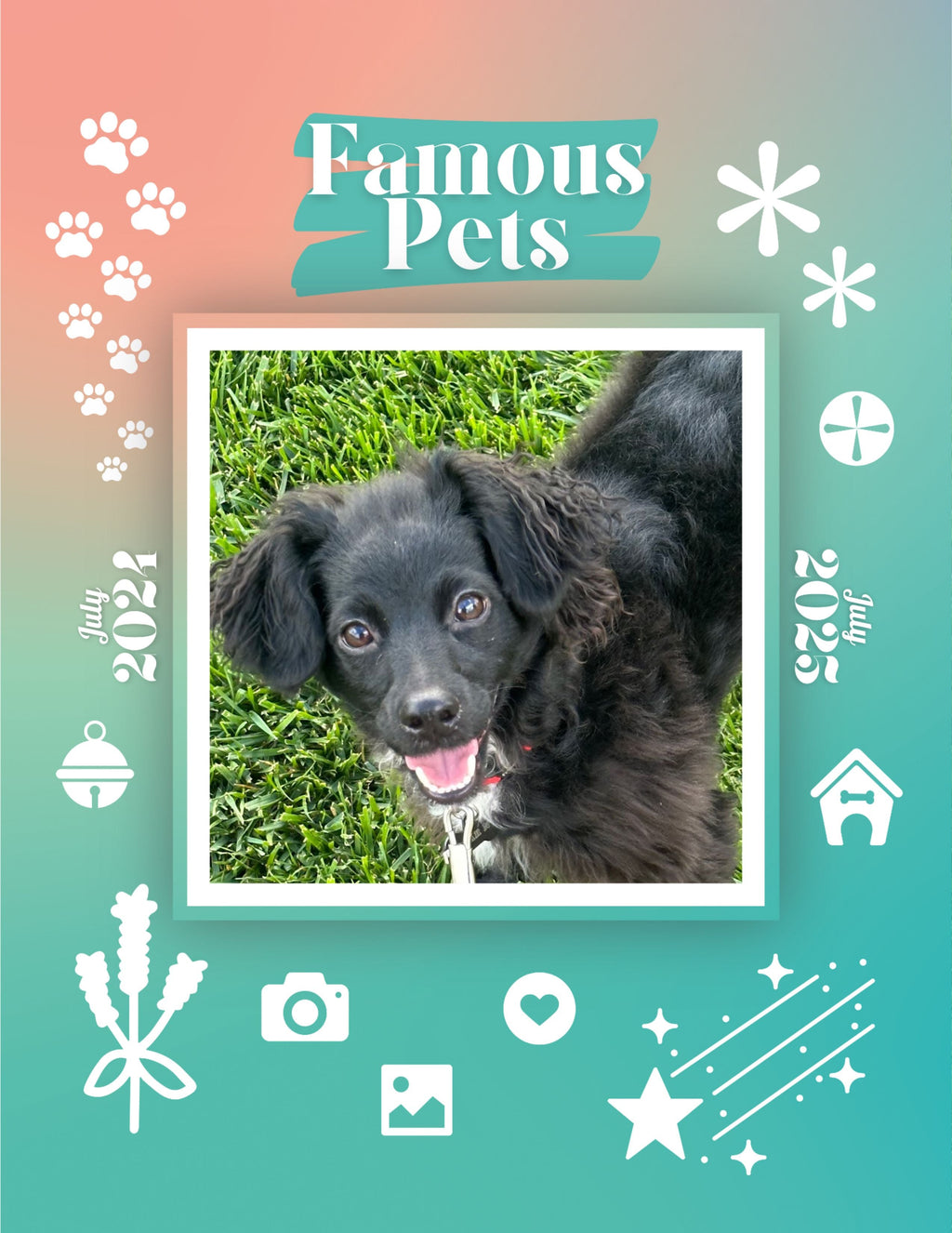 Famous Pets: July 2024-July 2025 Wall Calendar (Pre-Order)