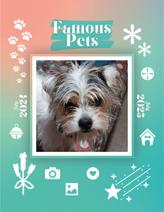Famous Pets: July 2024-July 2025 Wall Calendar (Pre-Order)