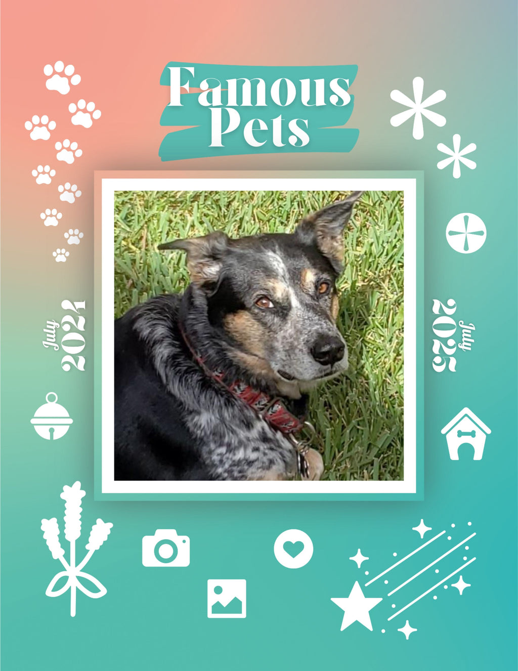 Famous Pets: July 2024-July 2025 Wall Calendar (Pre-Order)