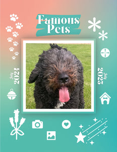 Famous Pets: July 2024-July 2025 Wall Calendar (Pre-Order)