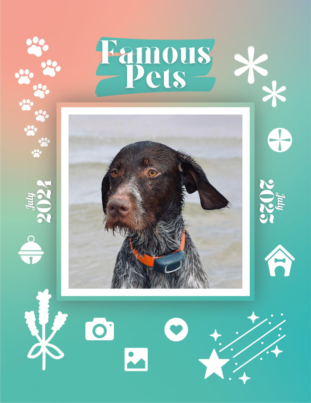 Famous Pets: July 2024-July 2025 Wall Calendar (Pre-Order)