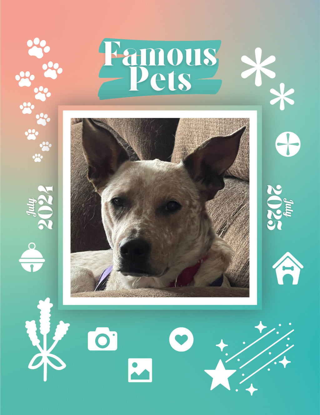 Famous Pets: July 2024-July 2025 Wall Calendar (Pre-Order)