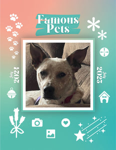 Famous Pets: July 2024-July 2025 Wall Calendar (Pre-Order)