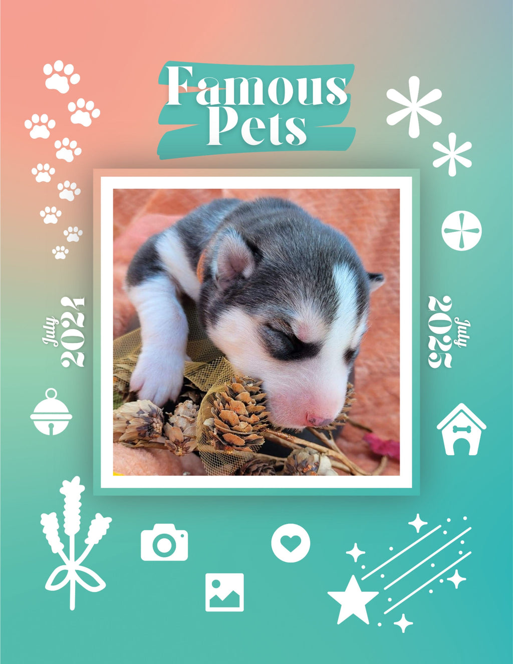 Famous Pets: July 2024-July 2025 Wall Calendar (Pre-Order)