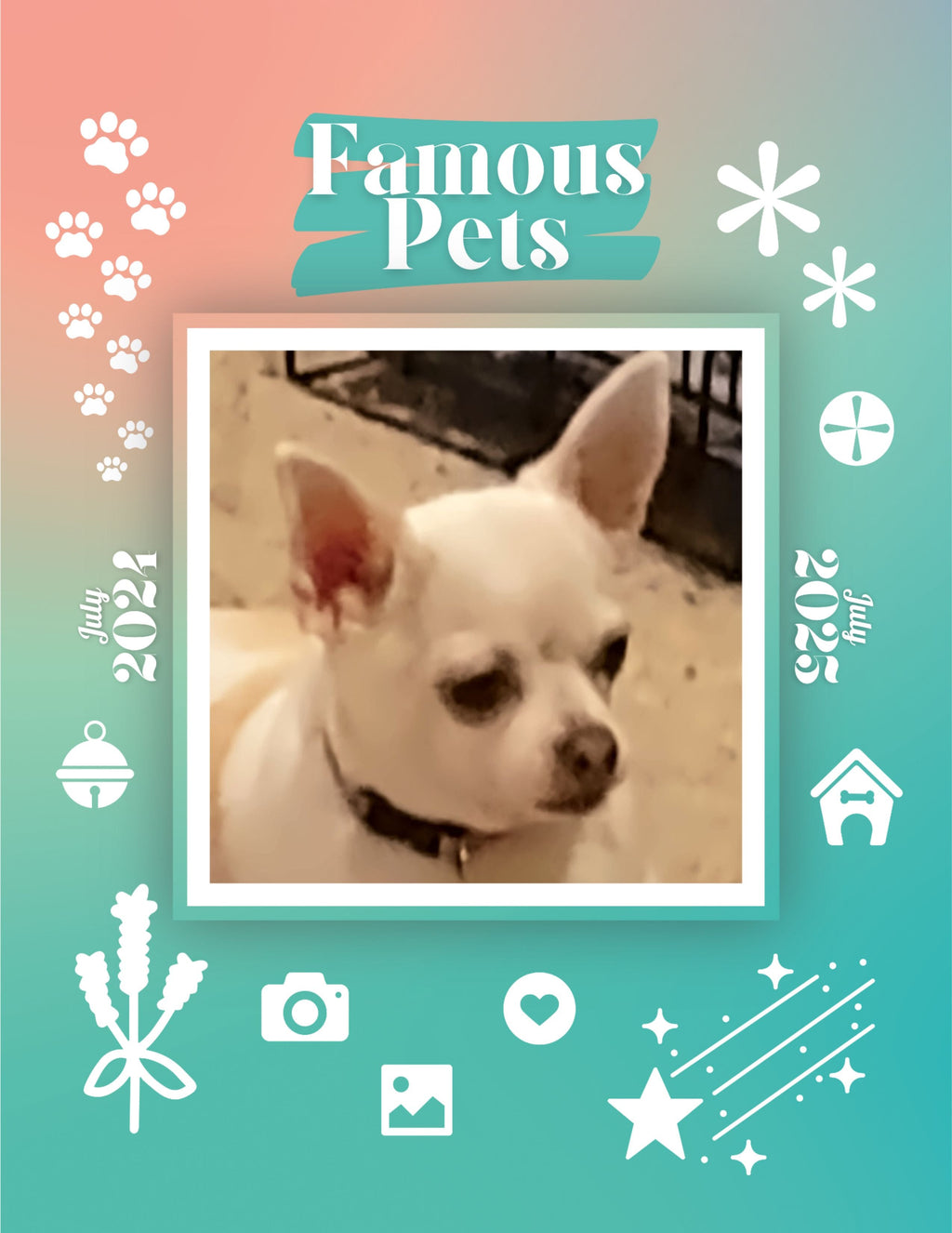 Famous Pets: July 2024-July 2025 Wall Calendar (Pre-Order)