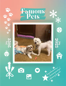 Famous Pets: July 2024-July 2025 Wall Calendar (Pre-Order)