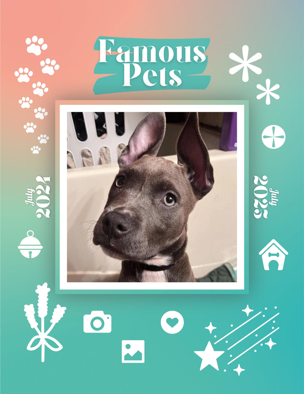 Famous Pets: July 2024-July 2025 Wall Calendar (Pre-Order)