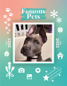 Famous Pets: July 2024-July 2025 Wall Calendar (Pre-Order)
