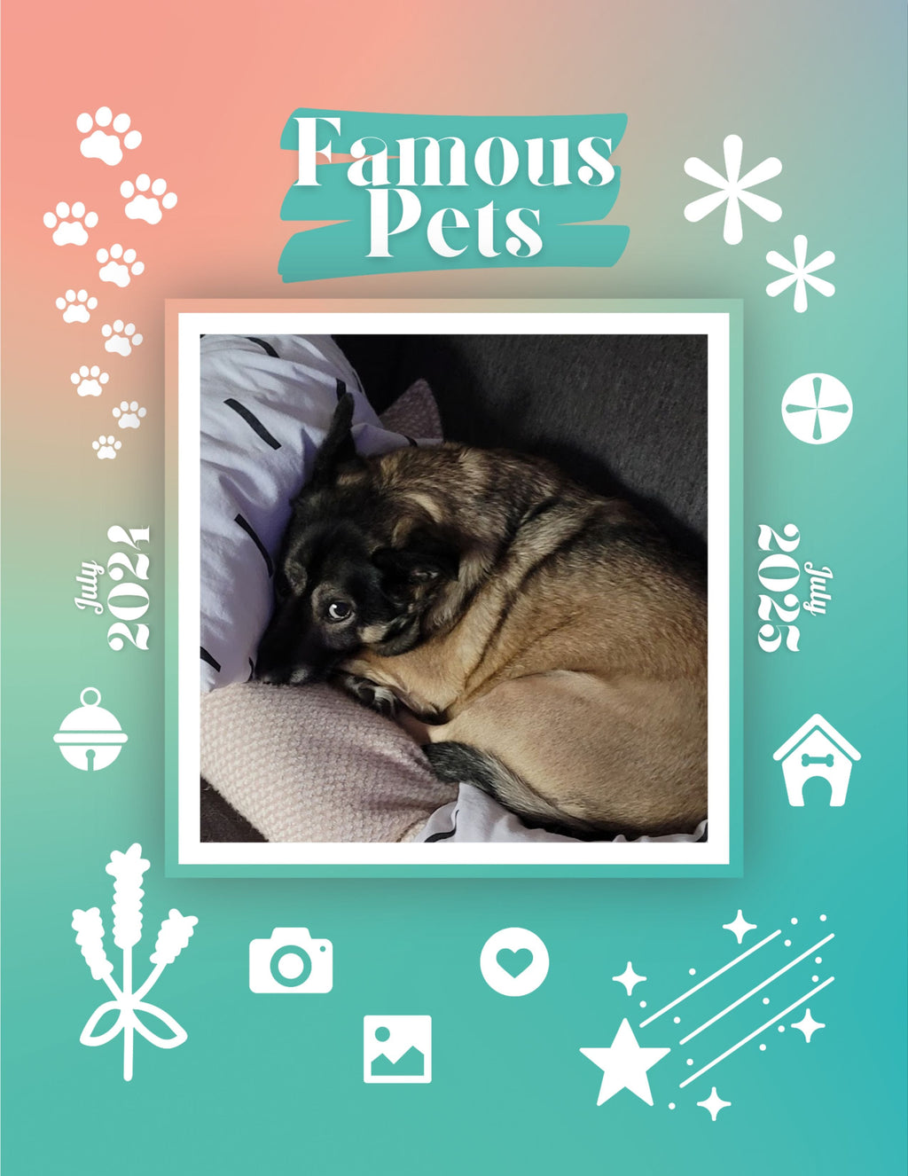 Famous Pets: July 2024-July 2025 Wall Calendar (Pre-Order)