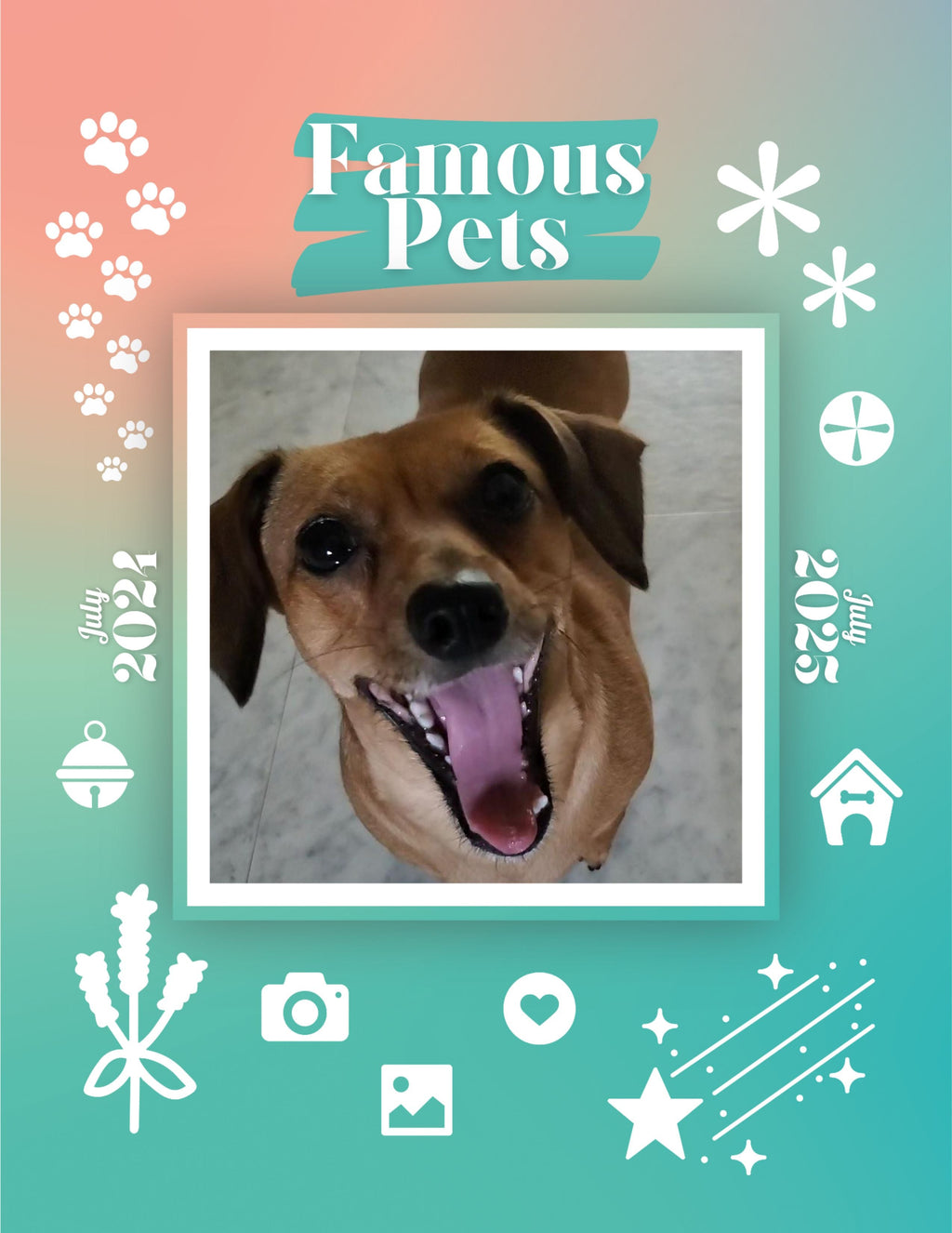 Famous Pets: July 2024-July 2025 Wall Calendar (Pre-Order)