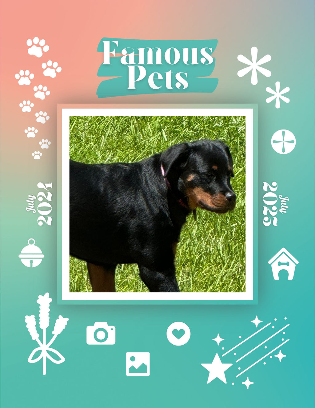 Famous Pets: July 2024-July 2025 Wall Calendar (Pre-Order)