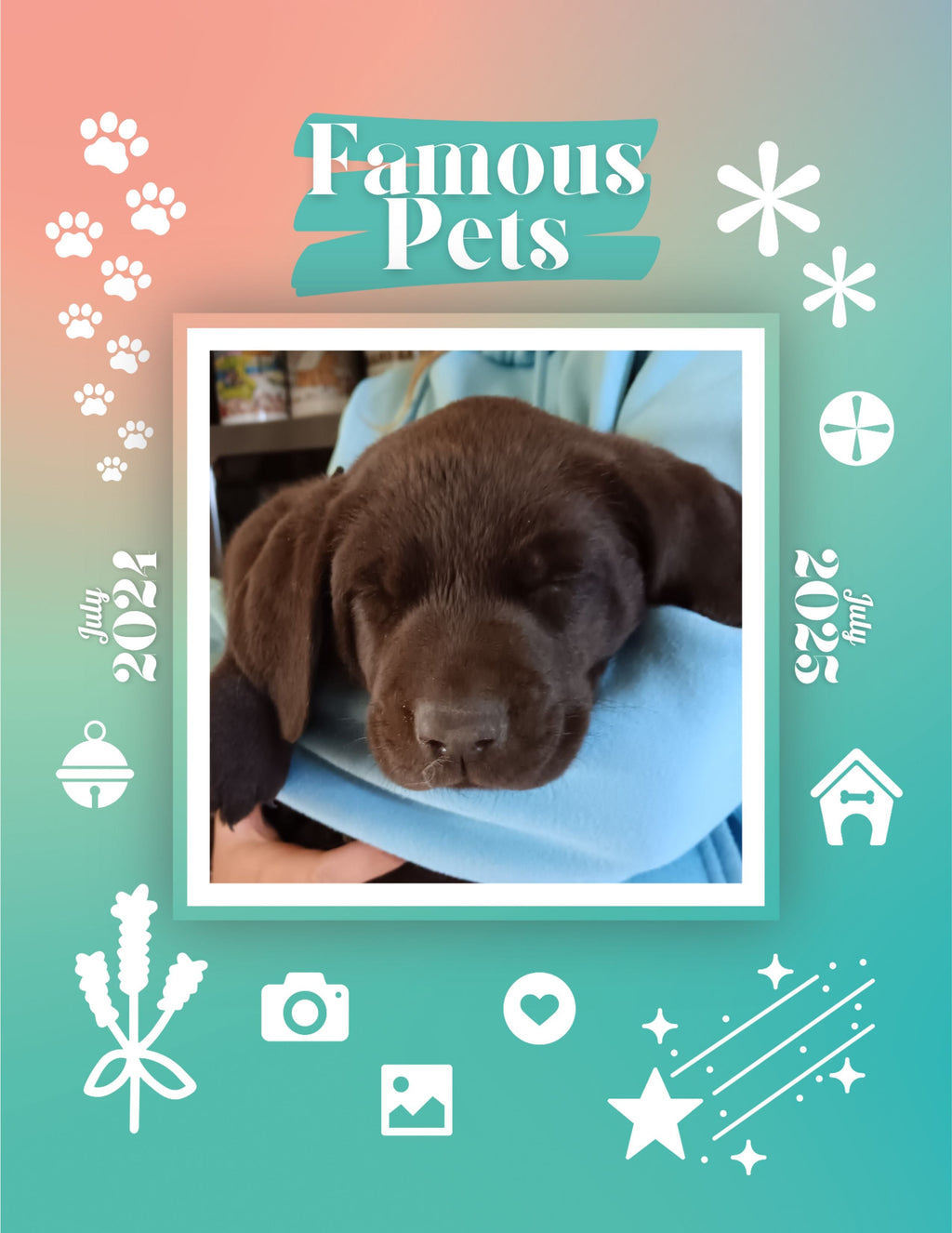 Famous Pets: July 2024-July 2025 Wall Calendar (Pre-Order)