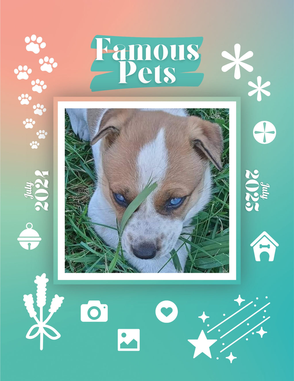 Famous Pets: July 2024-July 2025 Wall Calendar (Pre-Order)