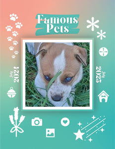Famous Pets: July 2024-July 2025 Wall Calendar (Pre-Order)