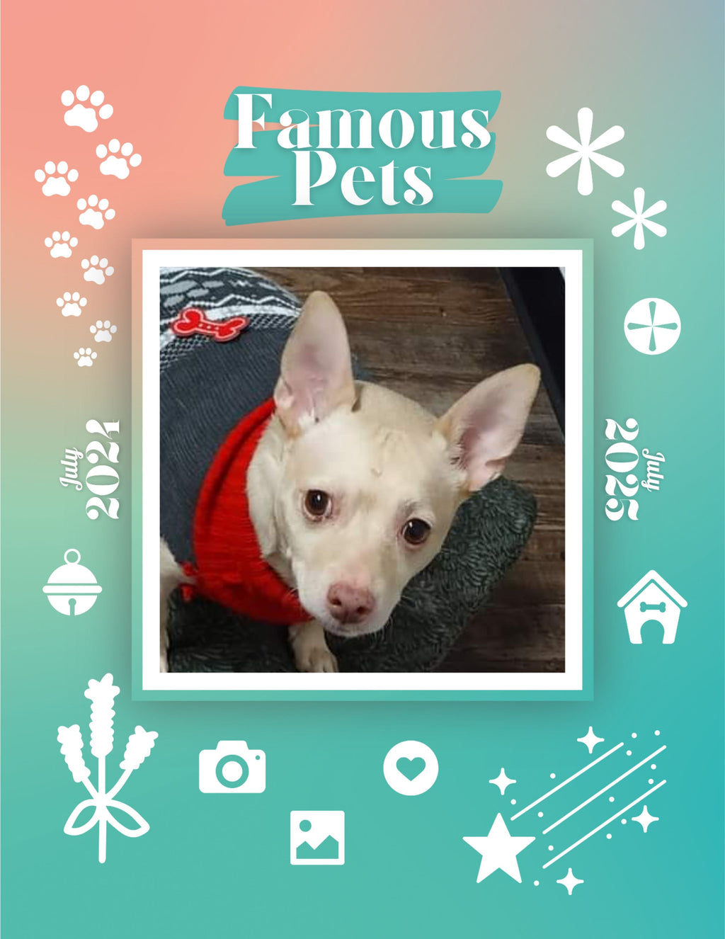 Famous Pets: July 2024-July 2025 Wall Calendar (Pre-Order)