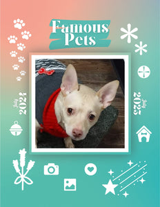 Famous Pets: July 2024-July 2025 Wall Calendar (Pre-Order)