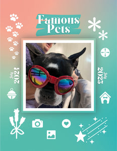 Famous Pets: July 2024-July 2025 Wall Calendar (Pre-Order)