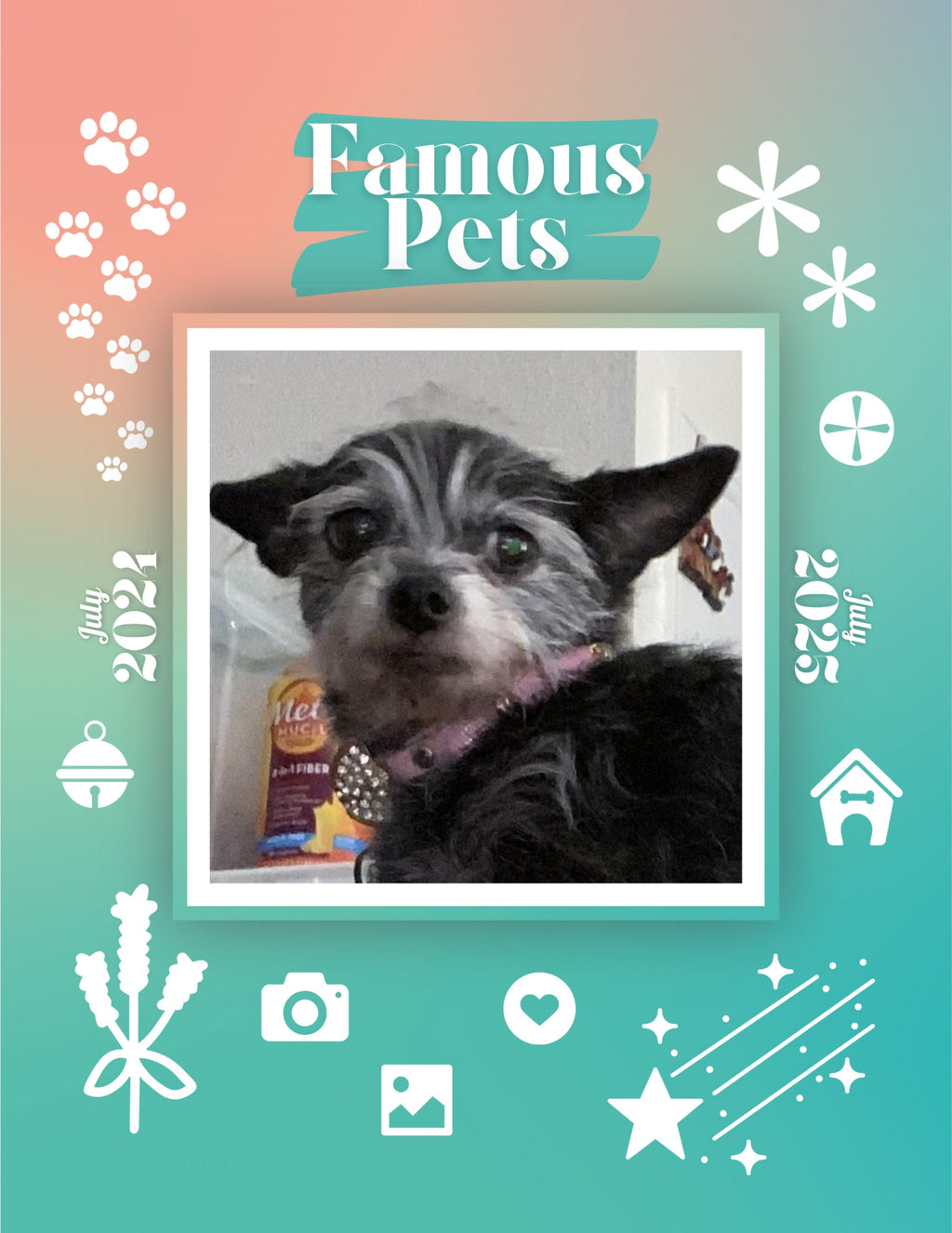 Famous Pets: July 2024-July 2025 Wall Calendar (Pre-Order)