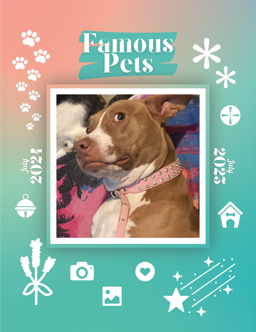 Famous Pets: July 2024-July 2025 Wall Calendar (Pre-Order)