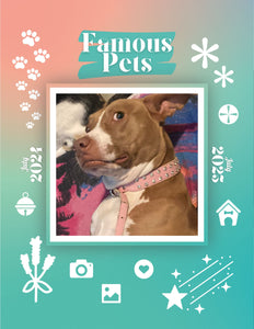 Famous Pets: July 2024-July 2025 Wall Calendar (Pre-Order)