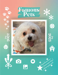 Famous Pets: July 2024-July 2025 Wall Calendar (Pre-Order)