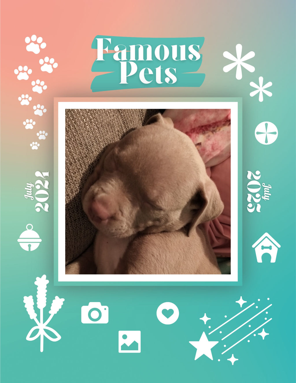 Famous Pets: July 2024-July 2025 Wall Calendar (Pre-Order)