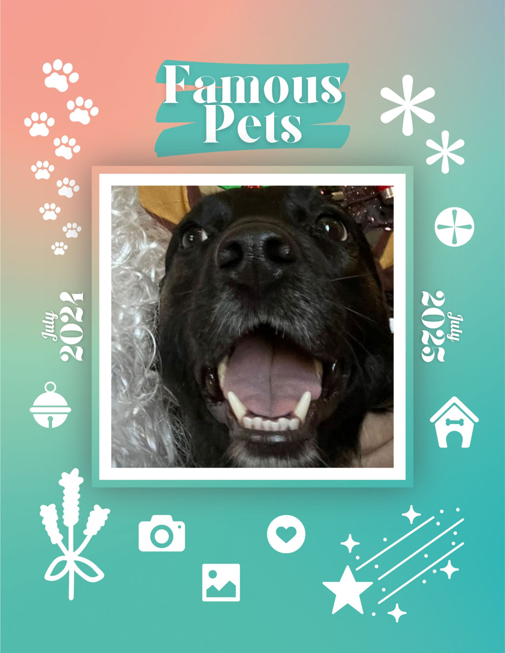 Famous Pets: July 2024-July 2025 Wall Calendar (Pre-Order)