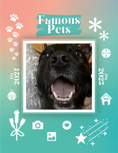 Famous Pets: July 2024-July 2025 Wall Calendar (Pre-Order)