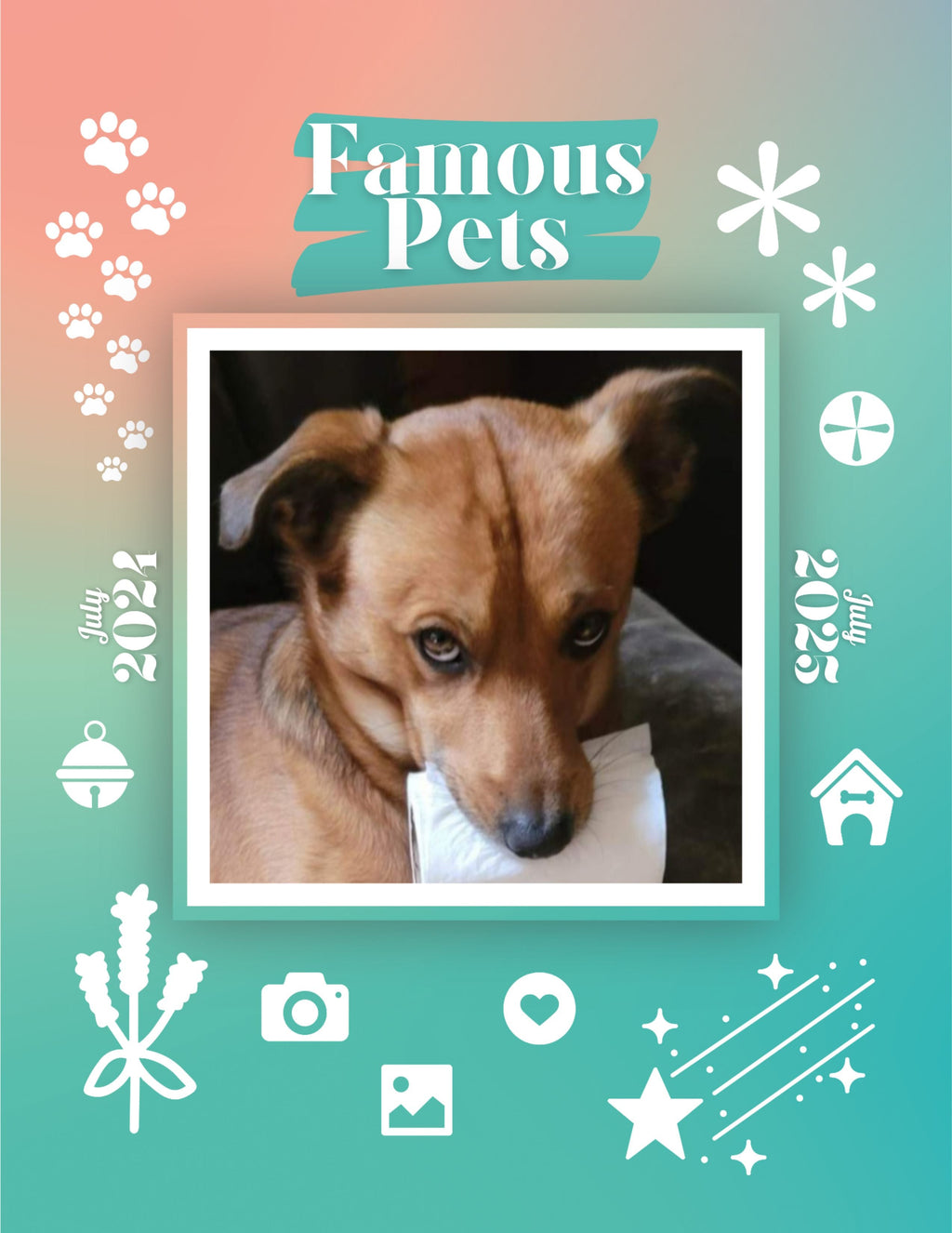Famous Pets: July 2024-July 2025 Wall Calendar (Pre-Order)