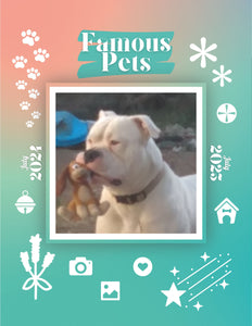 Famous Pets: July 2024-July 2025 Wall Calendar (Pre-Order)