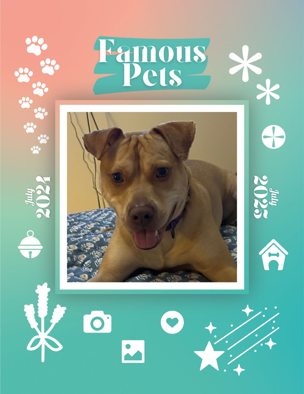 Famous Pets: July 2024-July 2025 Wall Calendar (Pre-Order)
