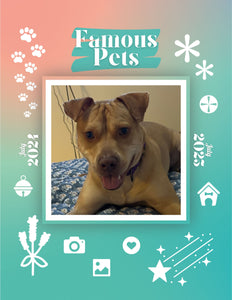 Famous Pets: July 2024-July 2025 Wall Calendar (Pre-Order)