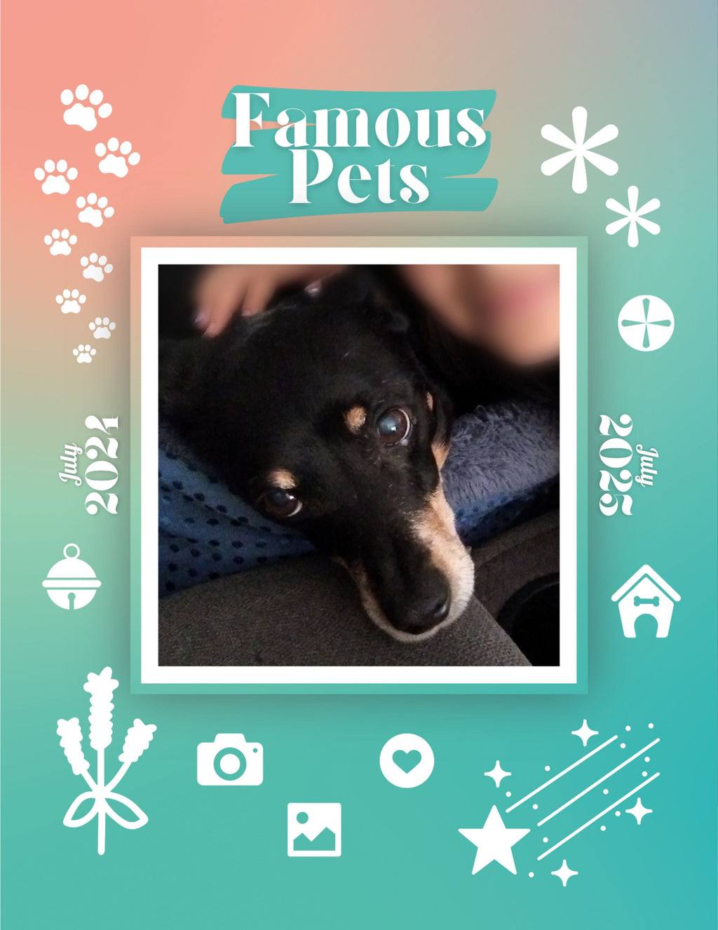 Famous Pets: July 2024-July 2025 Wall Calendar (Pre-Order)