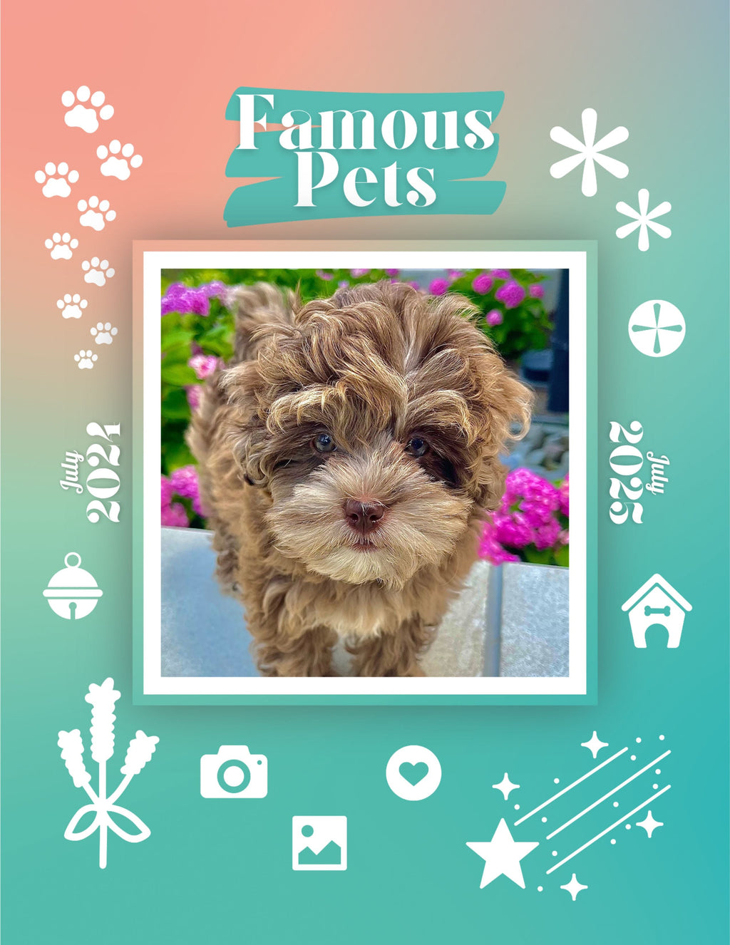 Famous Pets: July 2024-July 2025 Wall Calendar (Pre-Order)