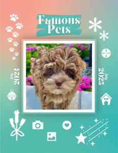 Famous Pets: July 2024-July 2025 Wall Calendar (Pre-Order)