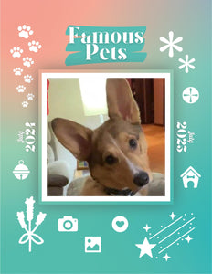 Famous Pets: July 2024-July 2025 Wall Calendar (Pre-Order)