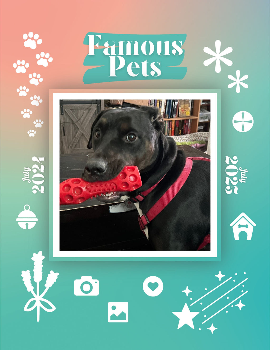 Famous Pets: July 2024-July 2025 Wall Calendar (Pre-Order)