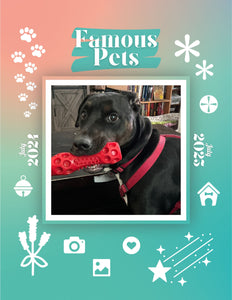Famous Pets: July 2024-July 2025 Wall Calendar (Pre-Order)