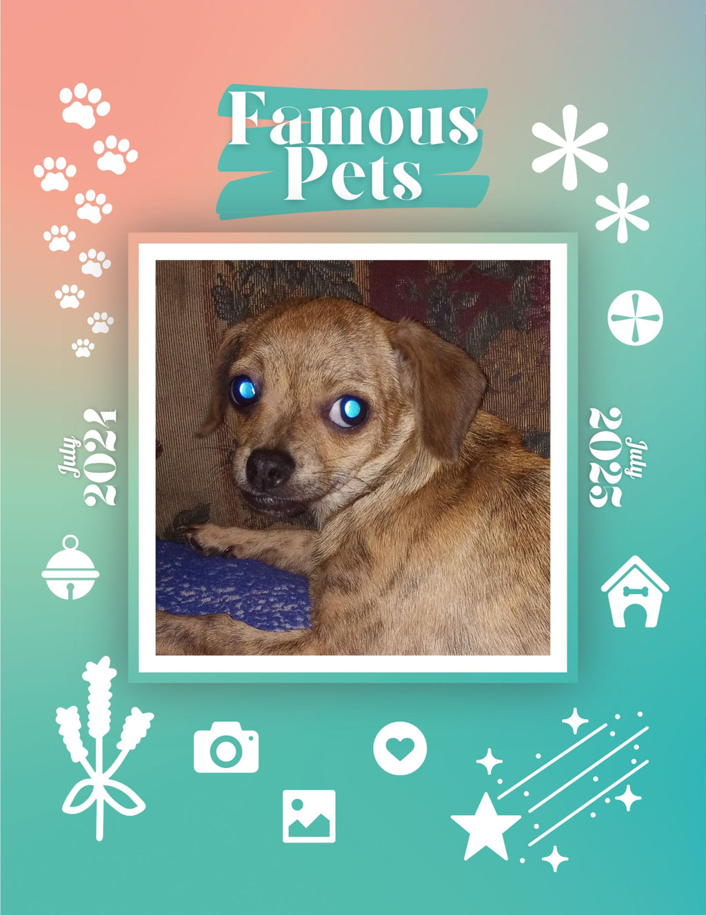 Famous Pets: July 2024-July 2025 Wall Calendar (Pre-Order)