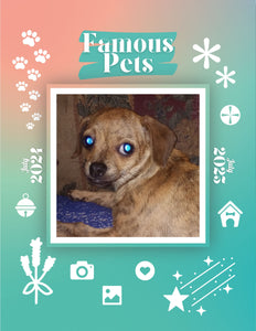 Famous Pets: July 2024-July 2025 Wall Calendar (Pre-Order)