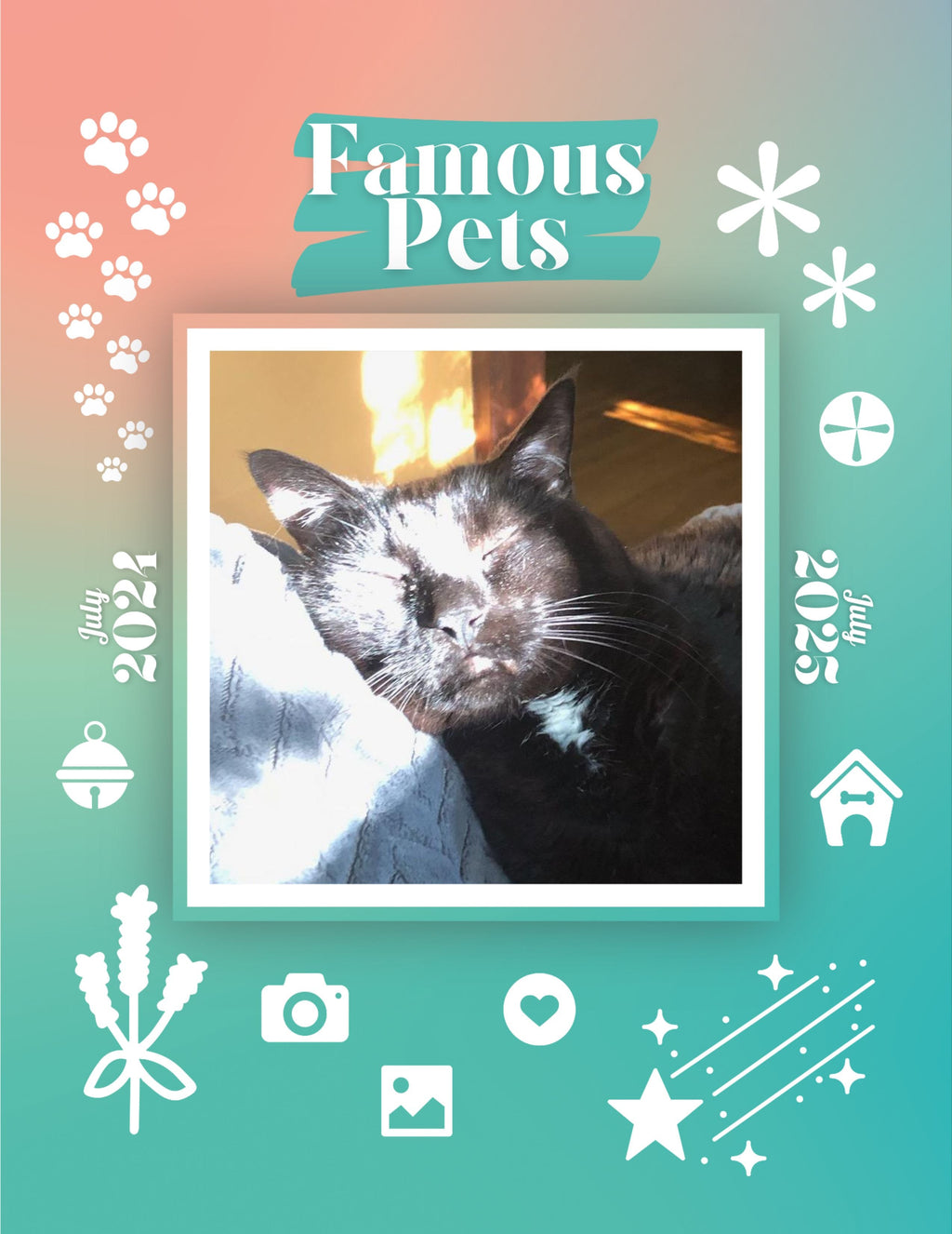 Famous Pets: July 2024-July 2025 Wall Calendar (Pre-Order)