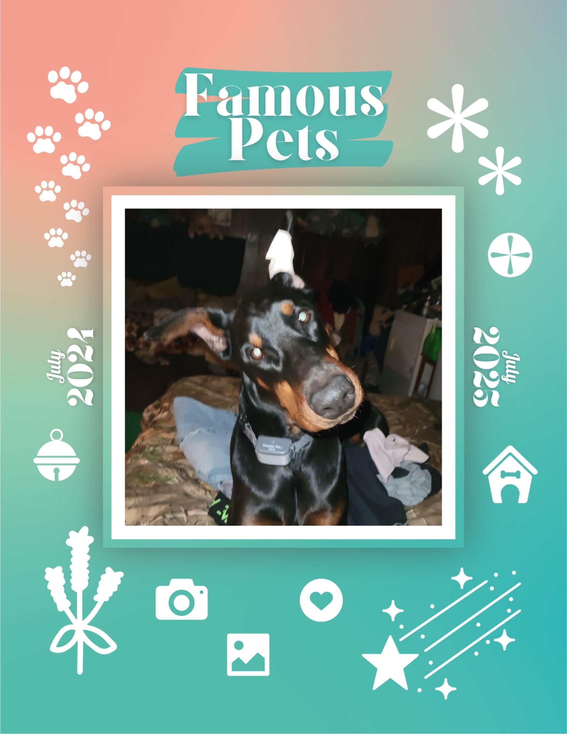 Famous Pets: July 2024-July 2025 Wall Calendar (Pre-Order)