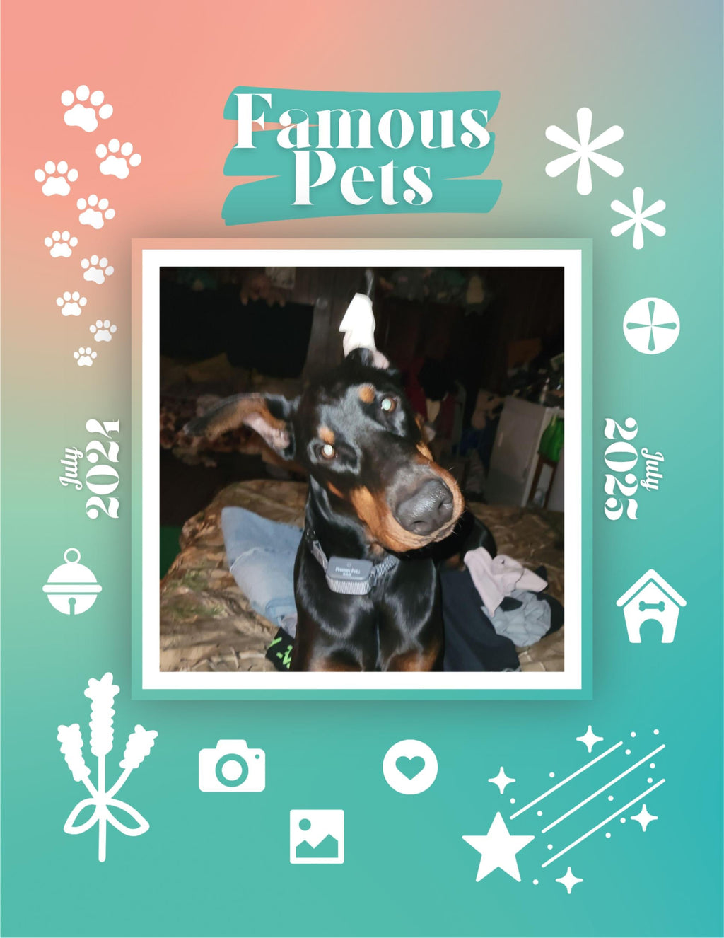 Famous Pets: July 2024-July 2025 Wall Calendar (Pre-Order)